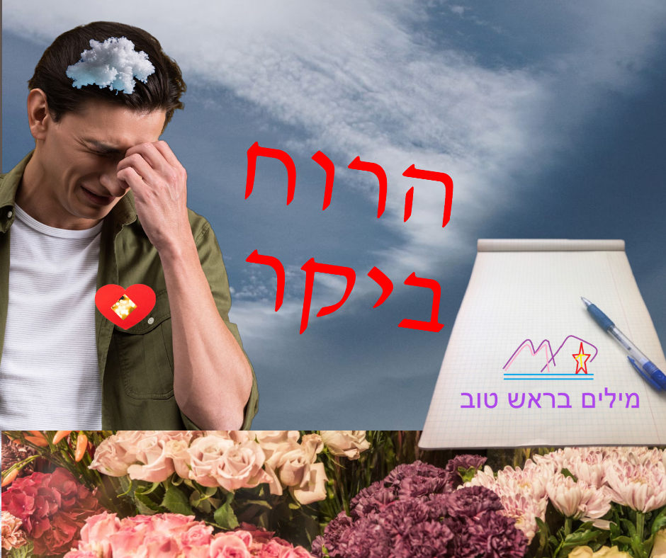 משה שקרוקה