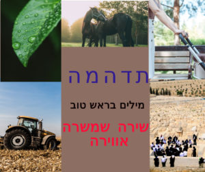 משה שקרוקה