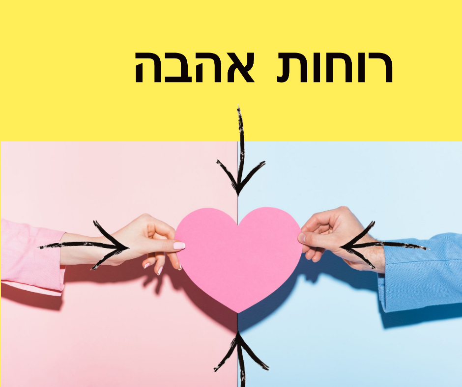 משה שקרוקה